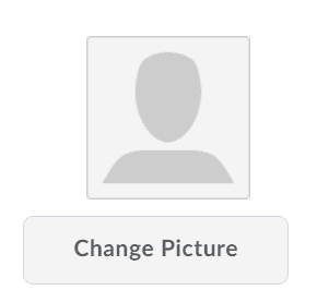 upload image to make a fake profile look real