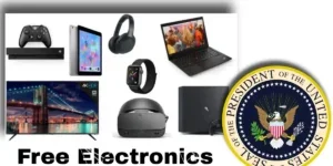 Free Electronics from the Government