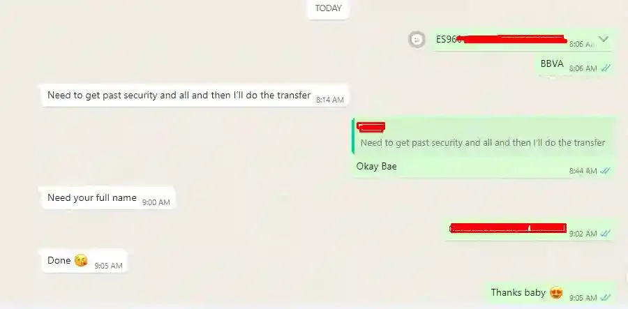 chat showing the client paying me the money I requested.